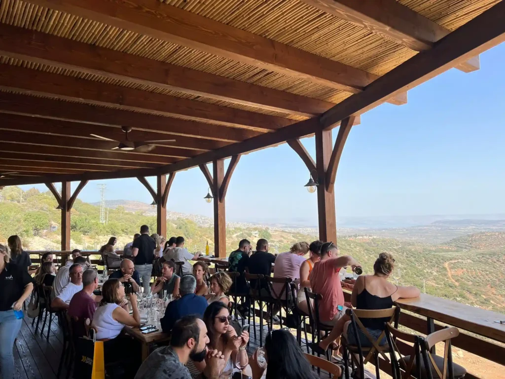 יקב-לטם-יין-ונוף