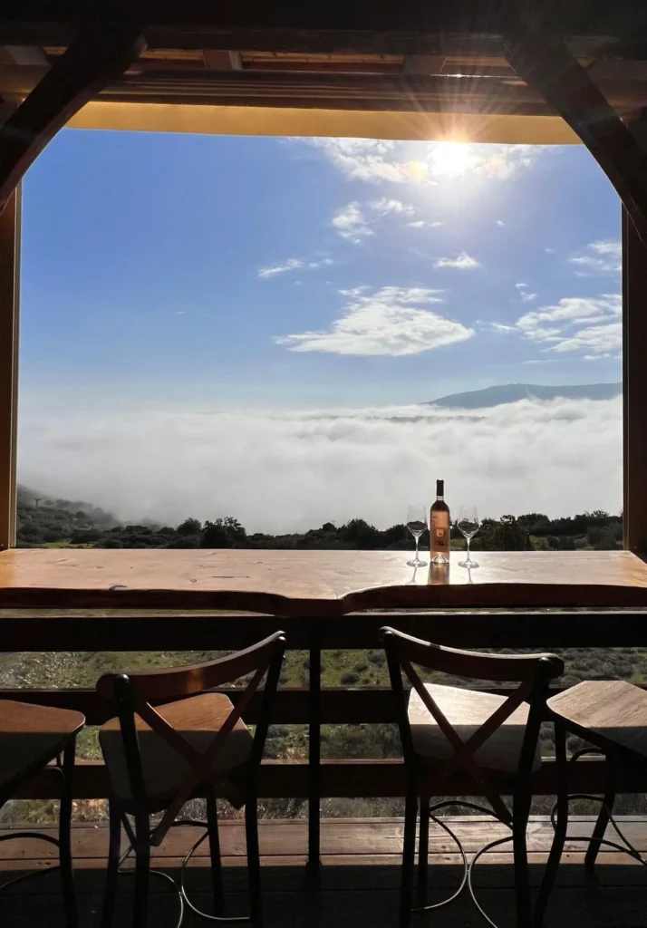 מרכז-המבקרים-יקב-לטם