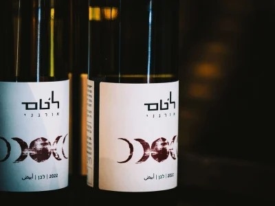 יקב-לטם-יין-לבן